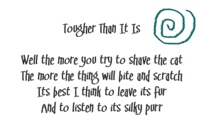 (Cake lyrics with a teal spiral doodle)
Song title: Tougher Than It Is
Well the more you try to shave the cat
The more the thing will bite and scratch
Its best I think to leave its fur 
And to listen to its silky purr